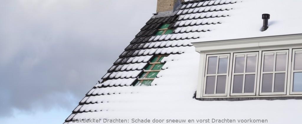 Schade Door Sneeuw En Vorst Drachten